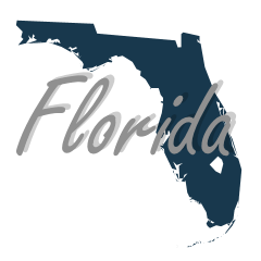 Converison Van for sale Florida